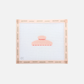 Claw Clip Canvas